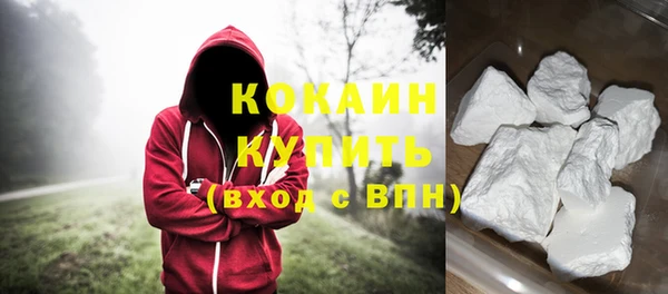 метадон Инта