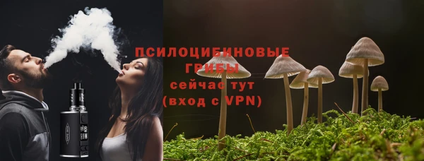 трава Инсар