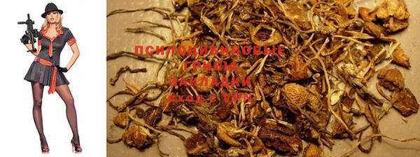 метадон Инта