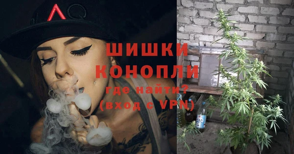 метадон Инта