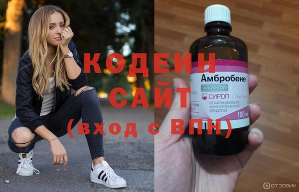 метадон Инта