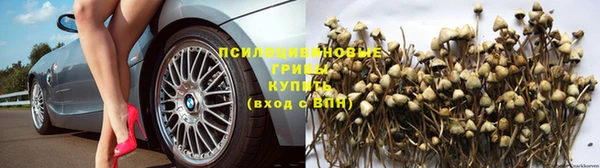 амф Новочеркасск