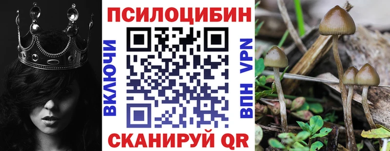 Купить где Галич Псилоцибиновые грибы MAGIC MUSHROOMS